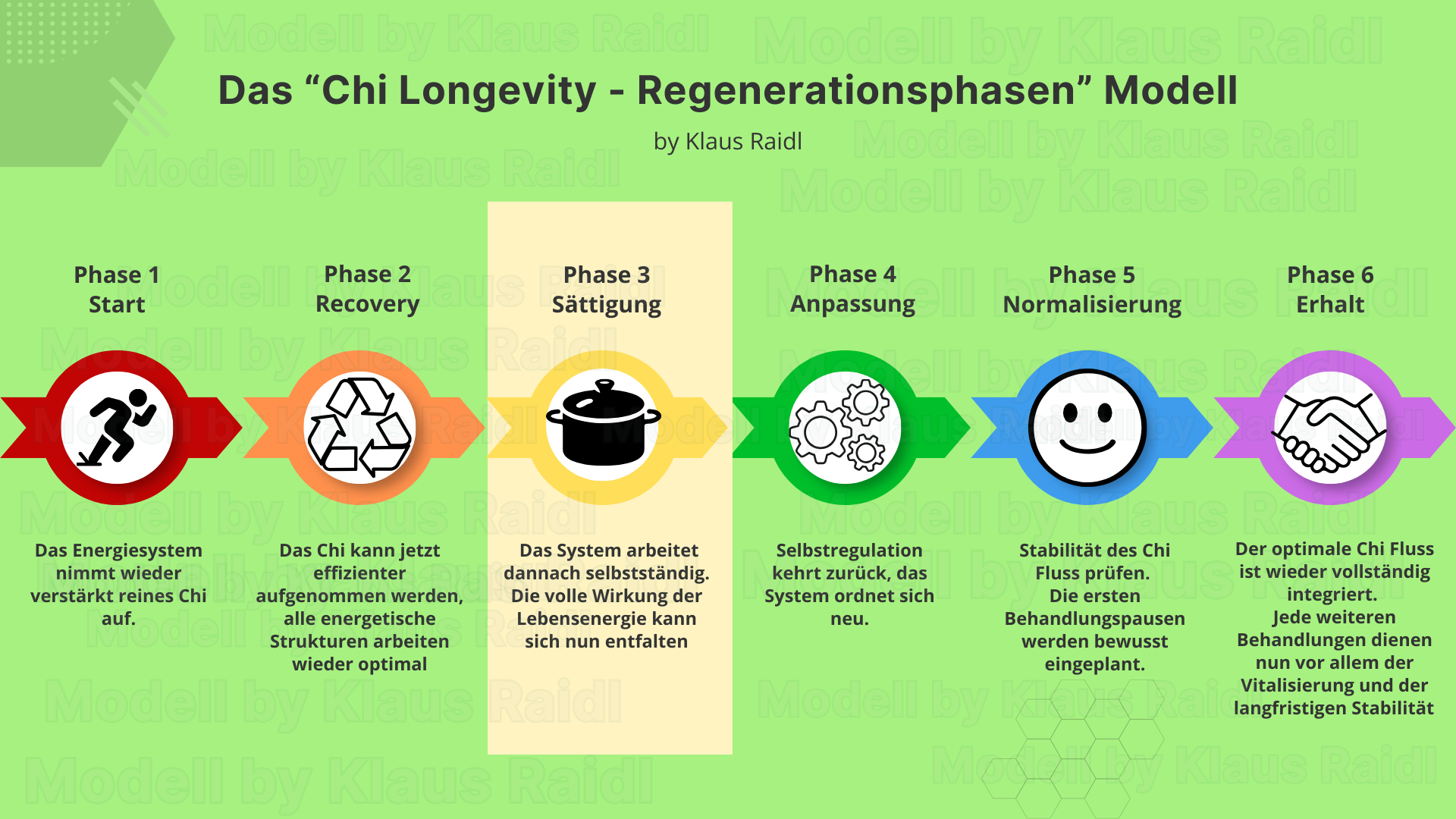 Chi Longevity - 6Regenerationsphasen