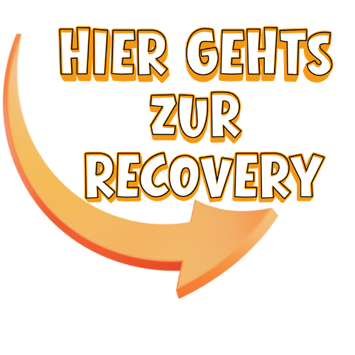Performance and Recovery
